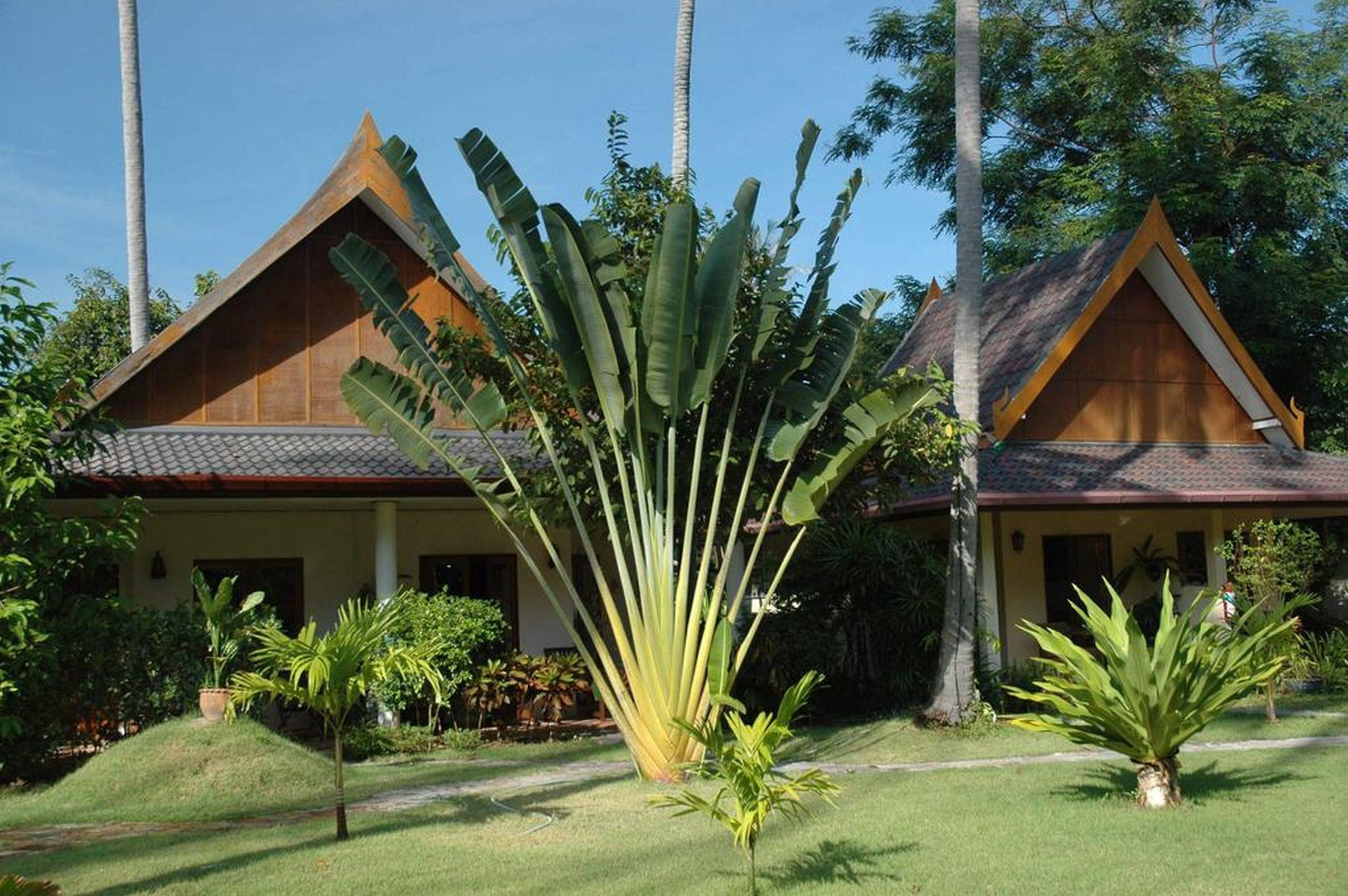 Palm Garden Resort Rawai Kültér fotó
