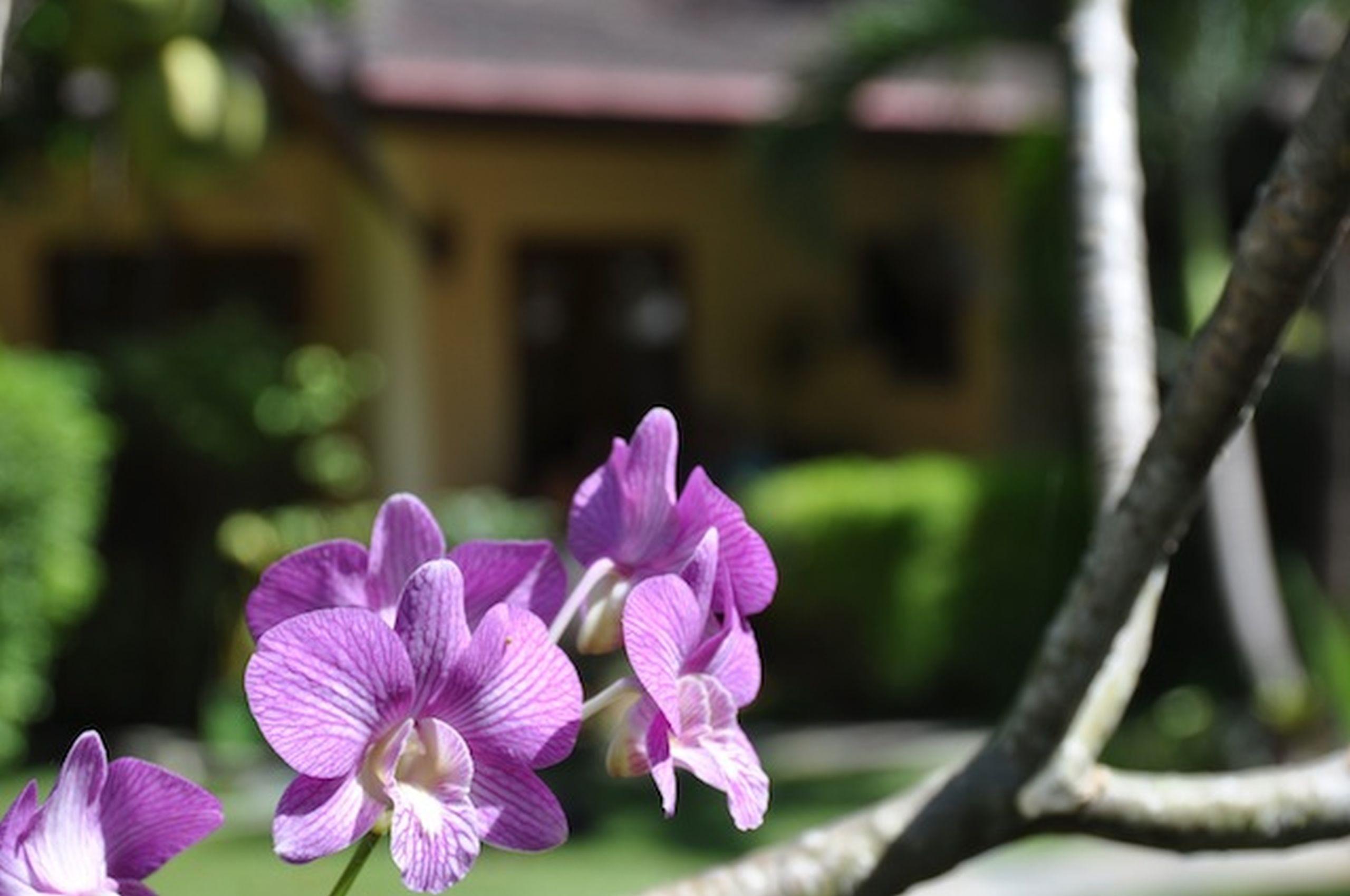Palm Garden Resort Rawai Kültér fotó